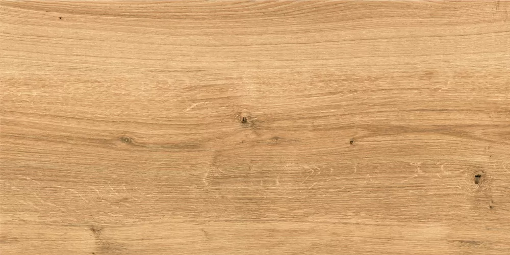 Керамогранит C-WS4O112D Woodhouse коричневый 29,7х59,8
