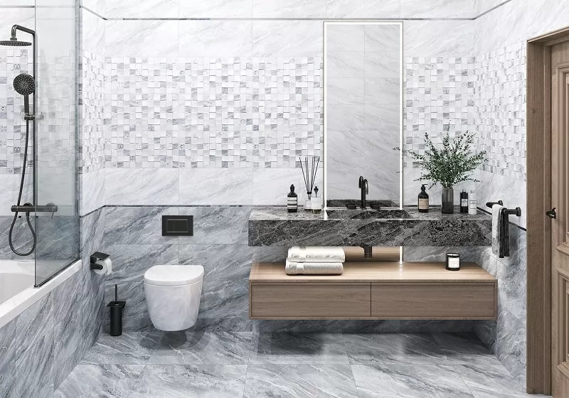 Плитка WT9LIB25 Liberto Dark 24.9x50