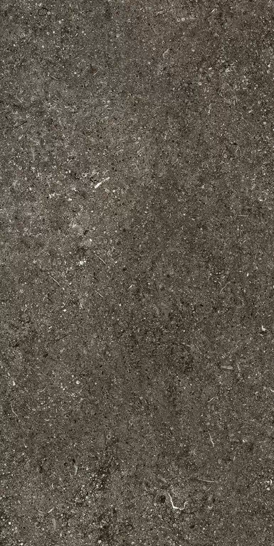 Керамогранит 768625 Sensi Brown Fossil Nat Ret 6mm 60x120