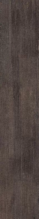 Керамогранит 0502073 TWS Wood Dark Nat RT 20x120