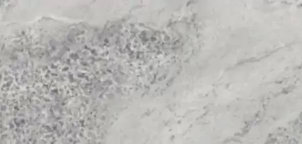 Керамогранит Gem Light Gray 80x160