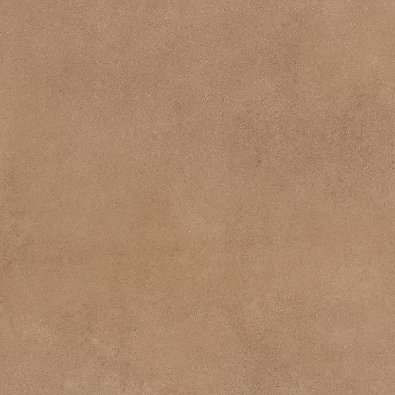 Керамогранит Mediterranea Coral PW R 60x60