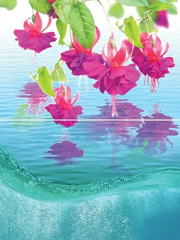 Плитка P2-1 Ocean flowers P2-1D240 Панно из 2-х плиток 30х40