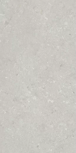 Керамогранит 005487 Shellstone Bianco 60x120