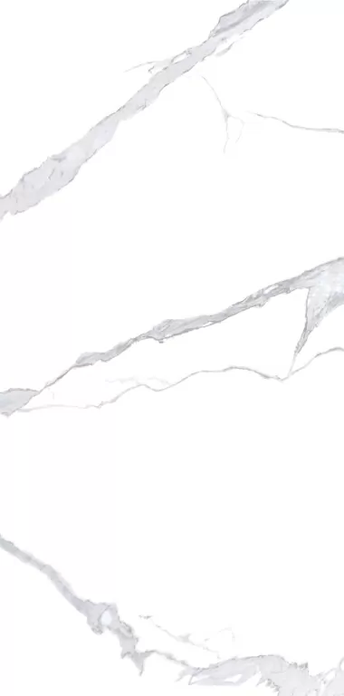 Керамогранит NTT3008P Bianco Statuario 120x240