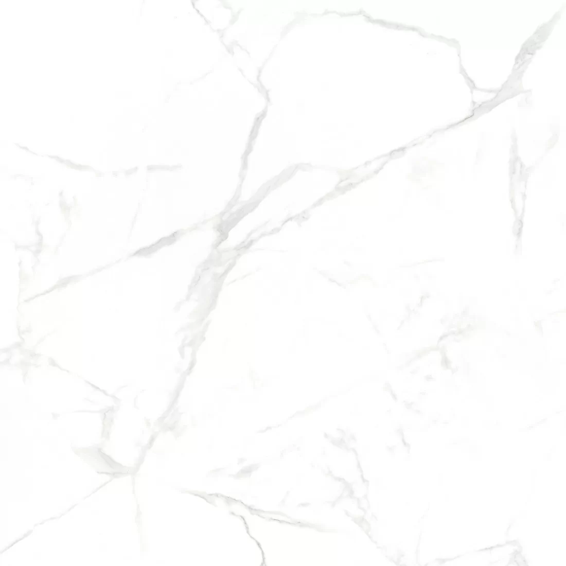 Керамогранит NTT996070M Callacata Carving 60x60
