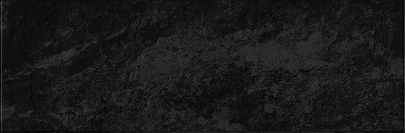 Плитка 618 Image Dark 32,5х100