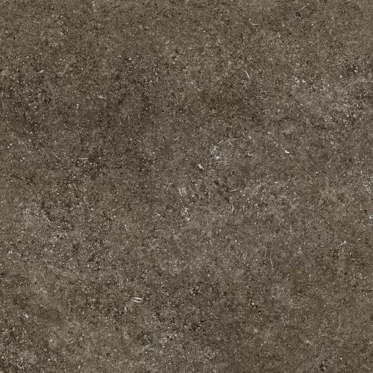 Керамогранит 768380 Sensi Brown Fossil R+PTV Ret 80x80