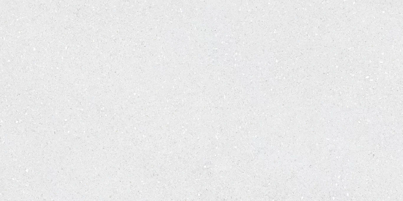Керамогранит Sassy White Rec 60x120