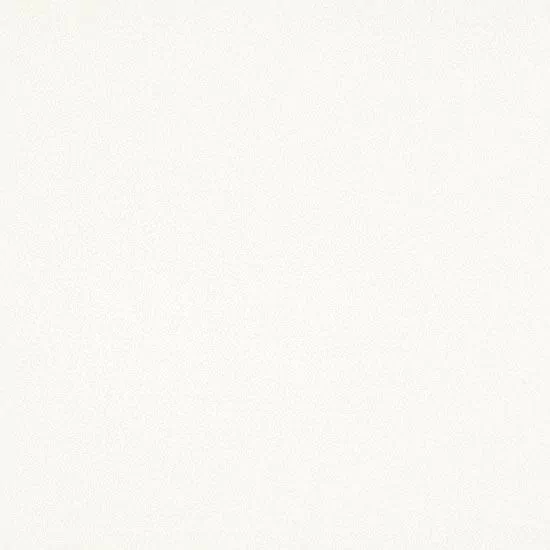 Керамогранит Black-White SUPERWHITE SMOOTH 100x100