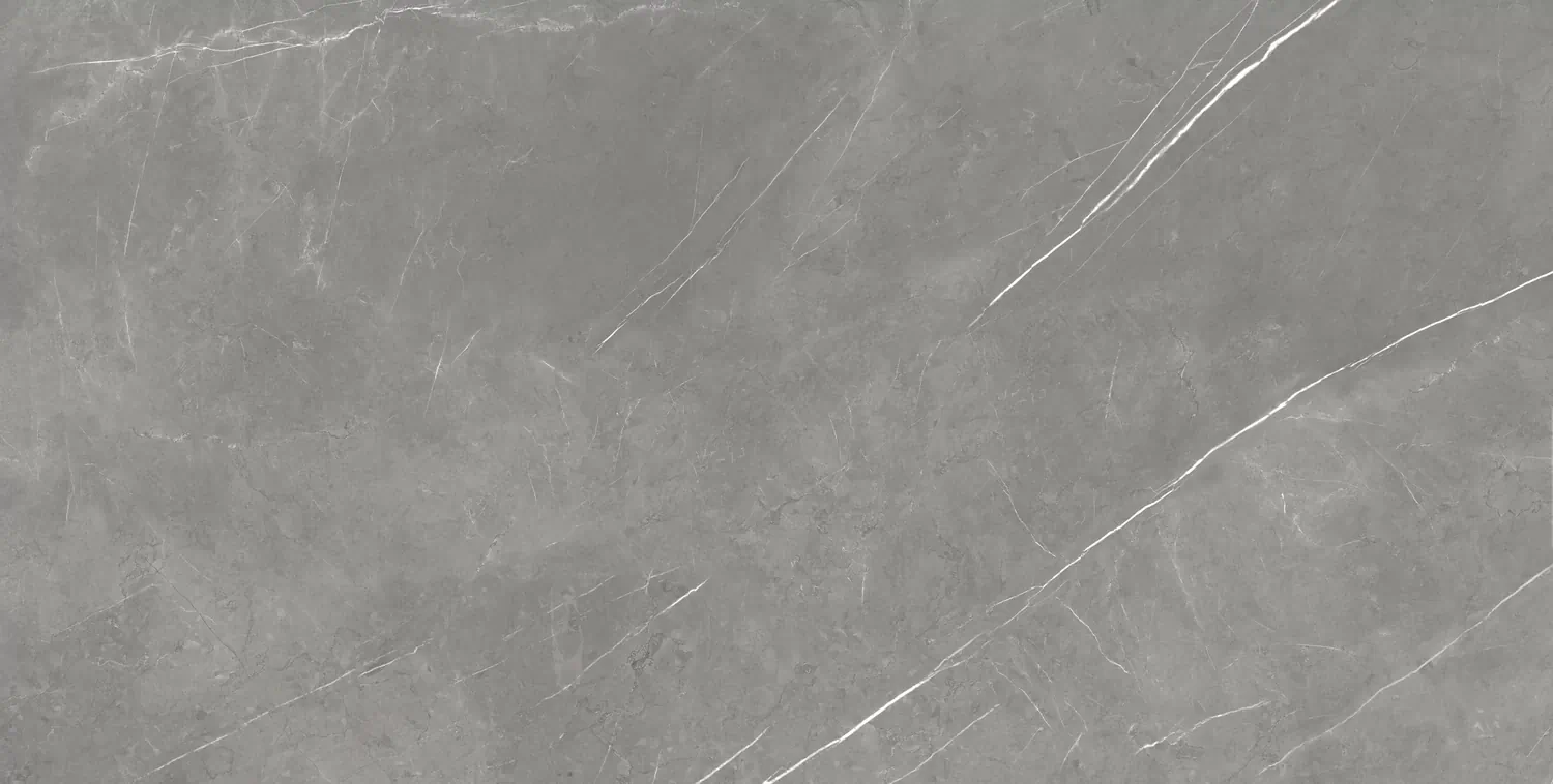 Керамогранит 610010002710 Forte dei Marmi Elegant Grey Rett 80x160