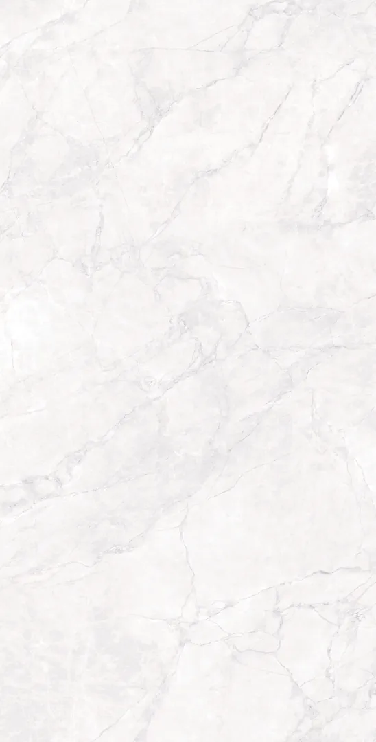 Керамогранит CR4007-A Arctic White Carving 60x120