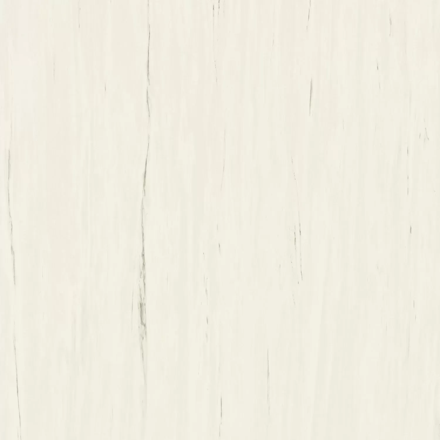 Керамогранит A204 Marvel Bianco Dolomite 120x120