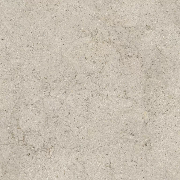 Керамогранит 100348060 Dorcia Acero L 80x80