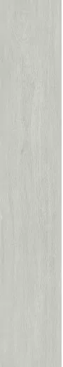 Керамогранит BNS212001 Ash 20x120