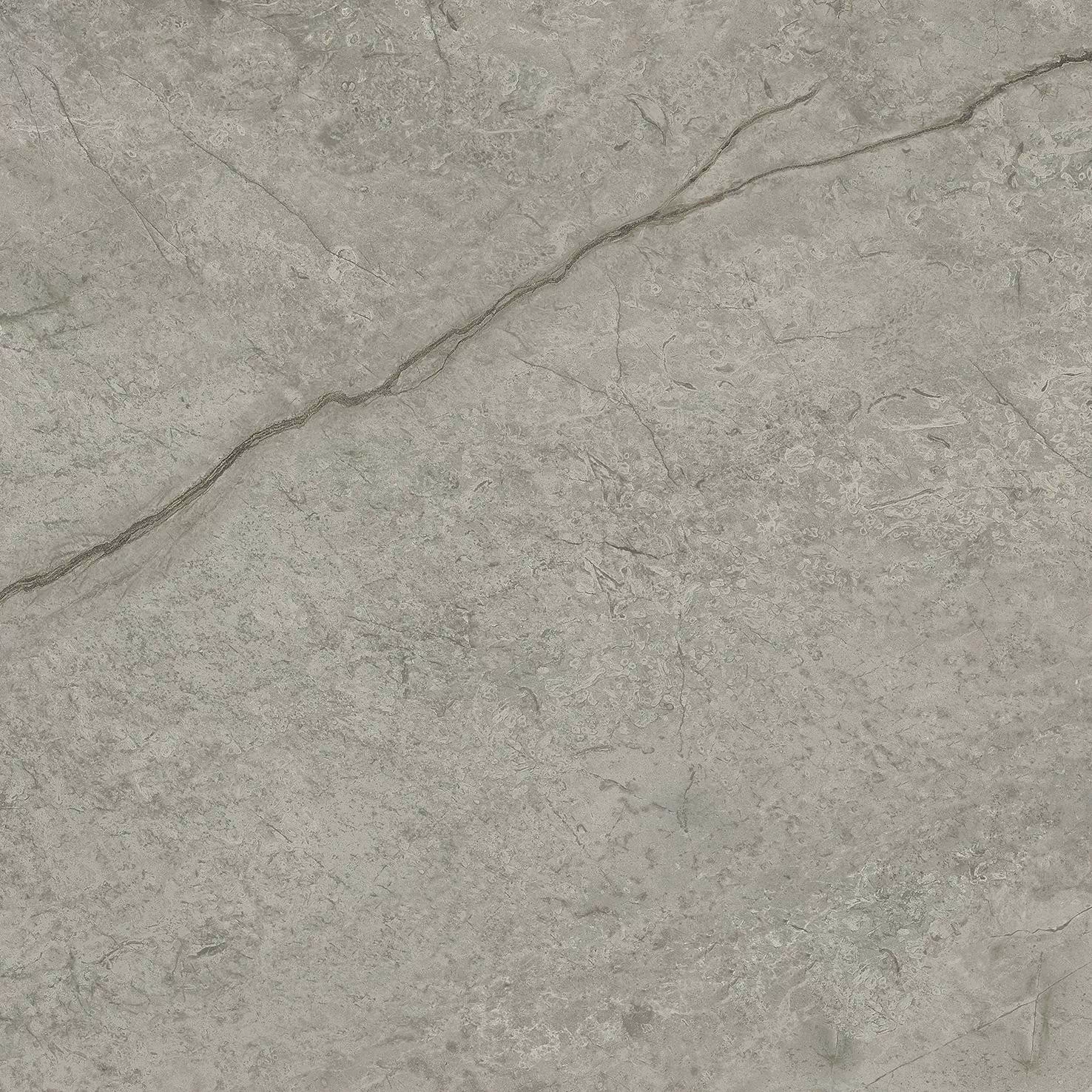 Керамогранит AJJC Marvel Meraviglia Silver Majestic Matt 60x60