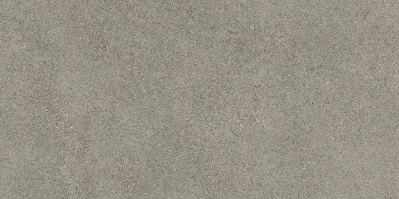 Керамогранит 610010005813 Forte dei Marmi Rock Lunar Grey Matt Rett 80x160