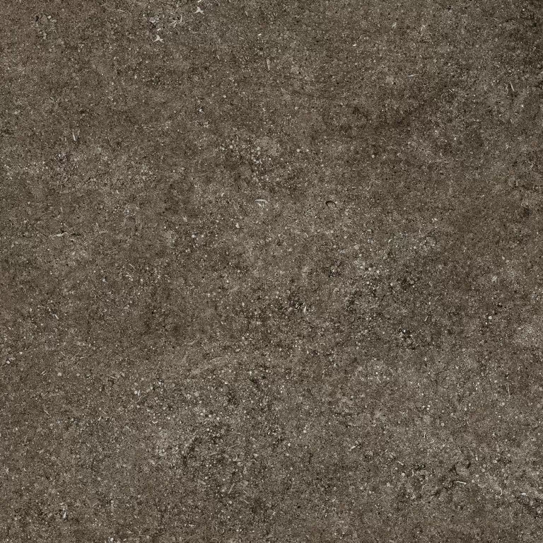 Керамогранит 768379 Sensi Brown Fossil Ret 80x80
