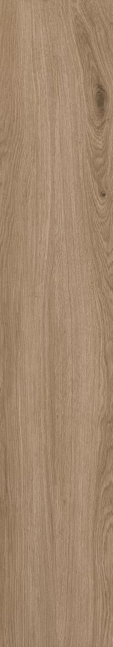 Керамогранит 1055 Casa Brown Mate 120x20