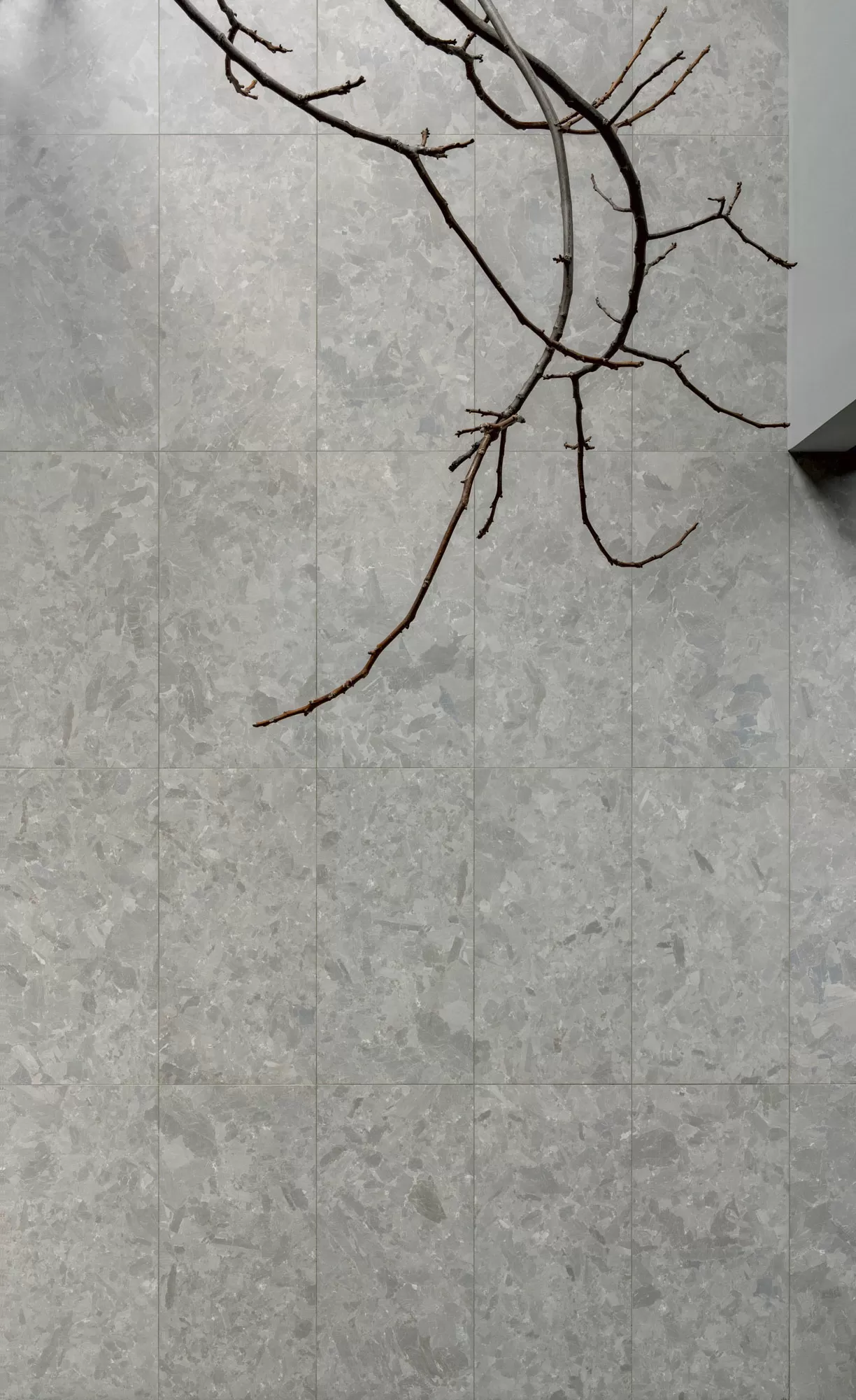 Керамогранит 4100510 Solo White 60x120