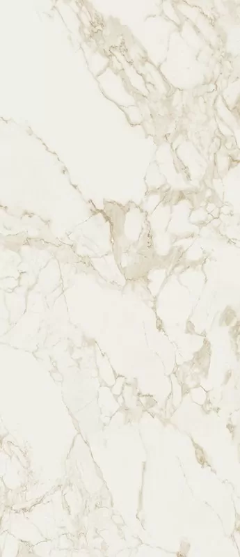 Керамогранит fOWR Roma Calacatta Silk 120x278