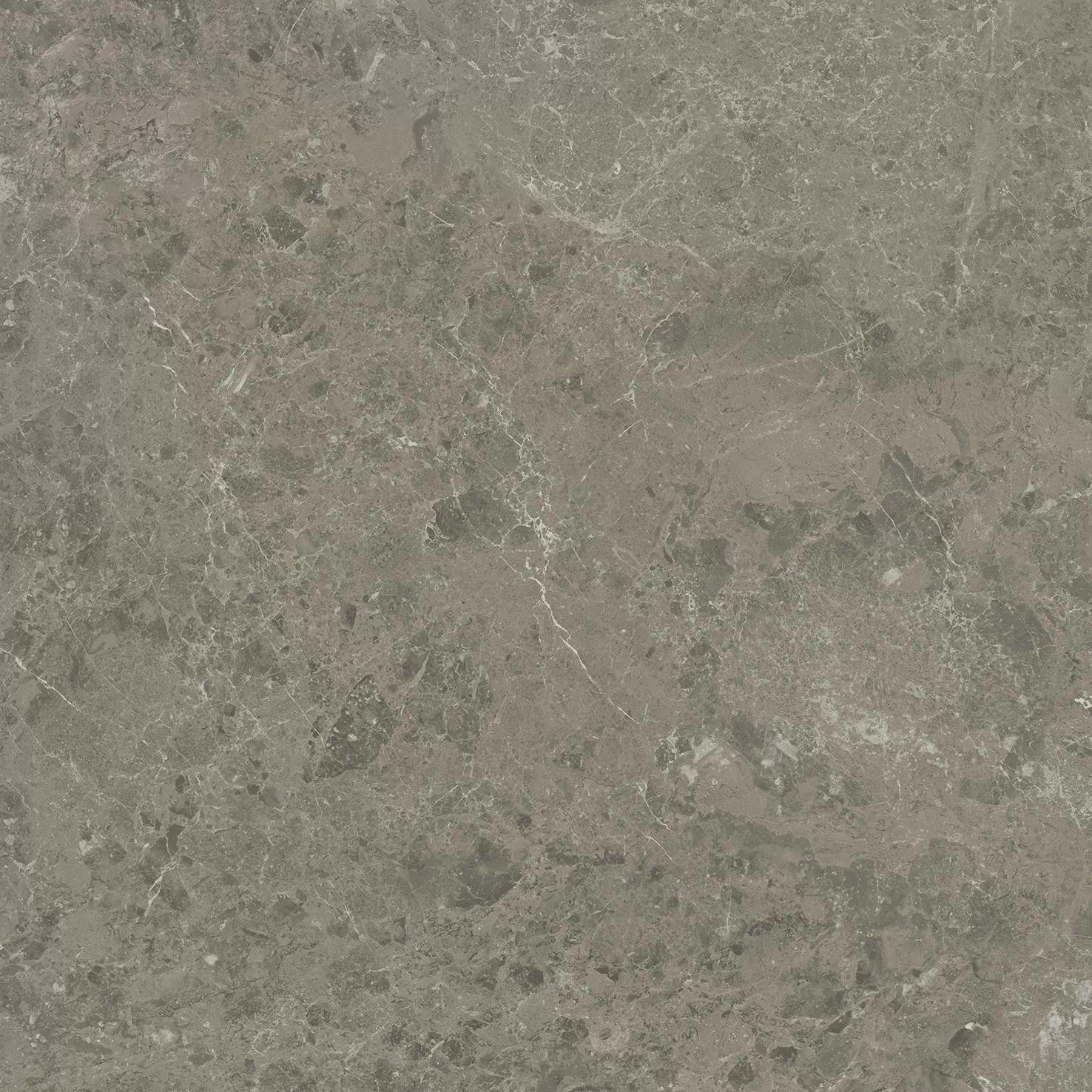 Керамогранит AJI8 Marvel Meraviglia Grigio Elegante Lapp. 60x60