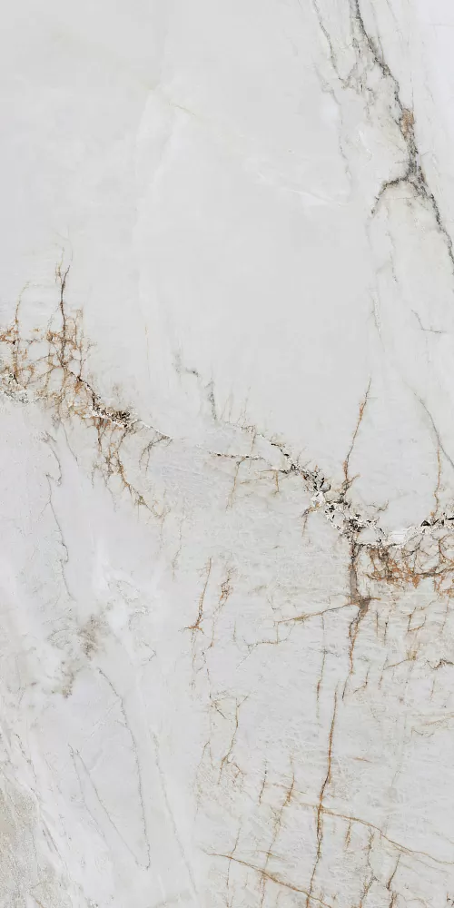 Керамогранит BHW-0048 Gemstone full body polished (gold) 60x120