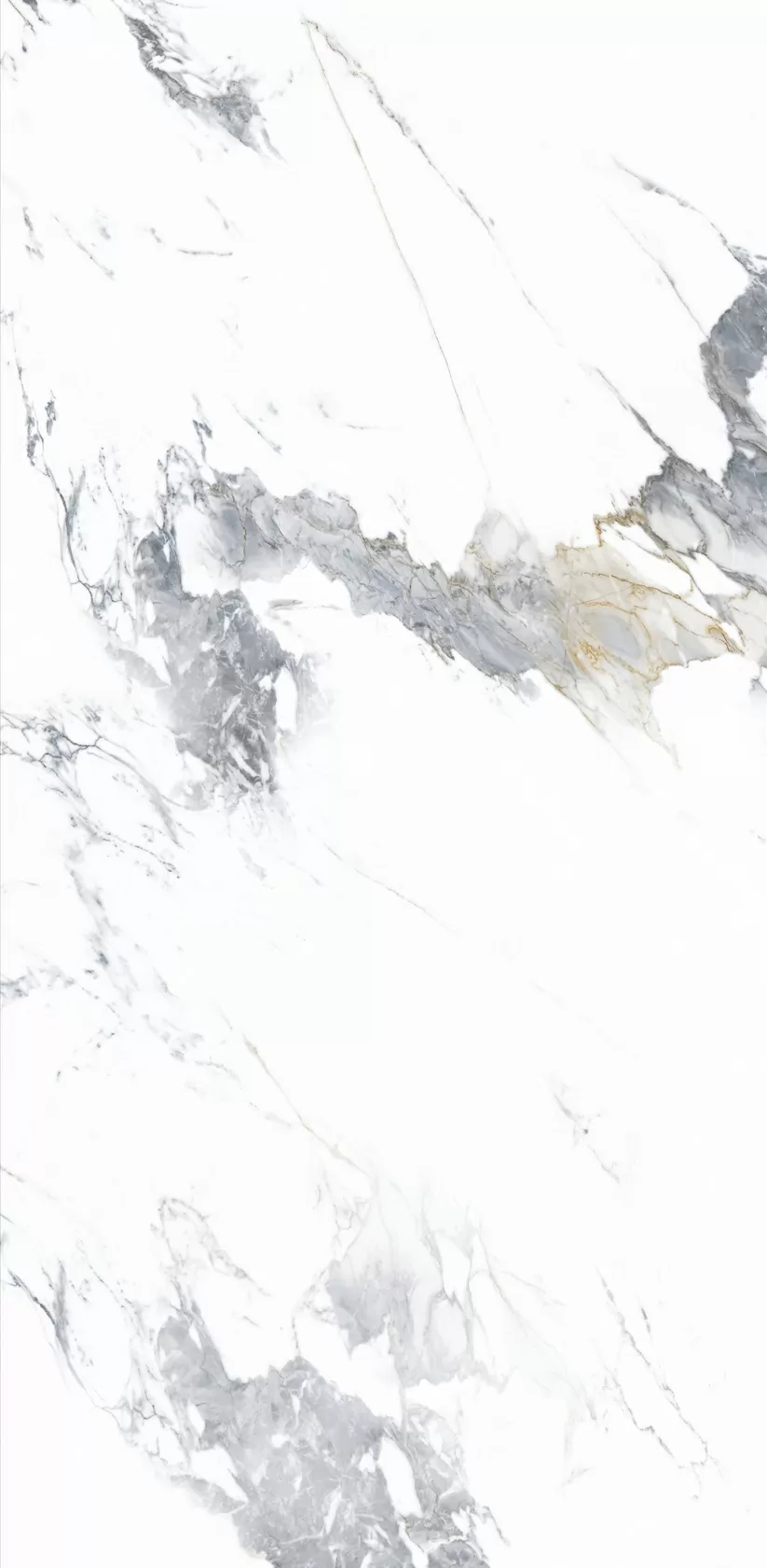 Керамогранит NTT3003P Arabescato 120x240