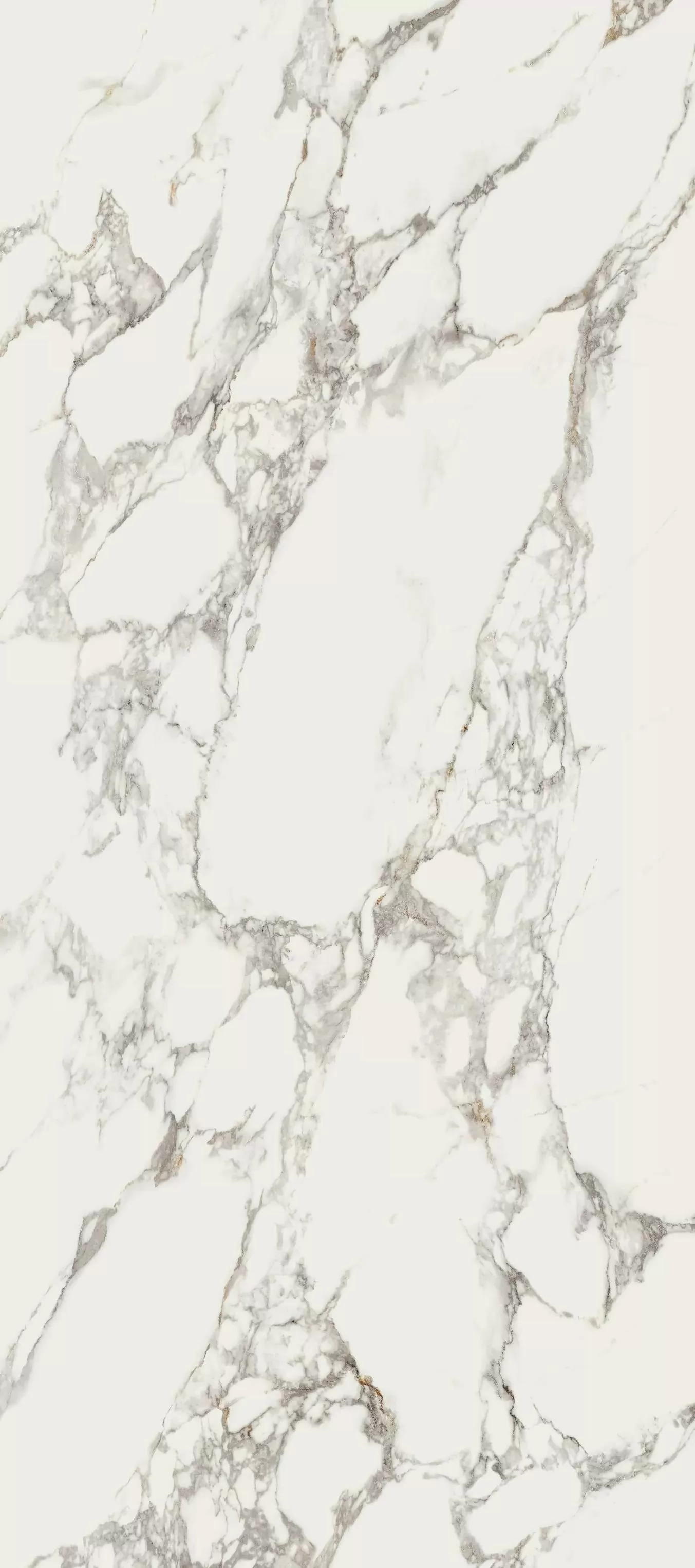 Керамогранит 78CVP48 Calacata Vaglie Seda 120х278х5.6