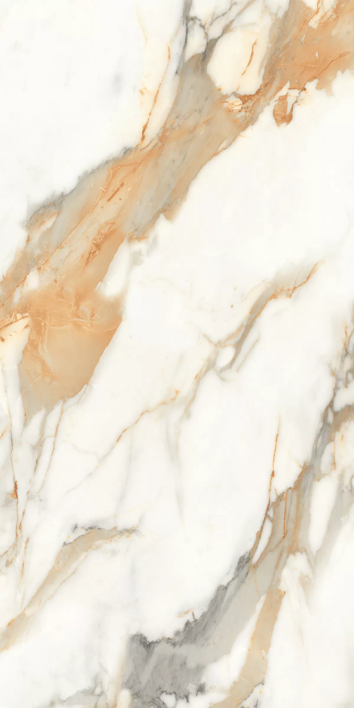 Керамогранит 888 Calacatta Gold 120x60