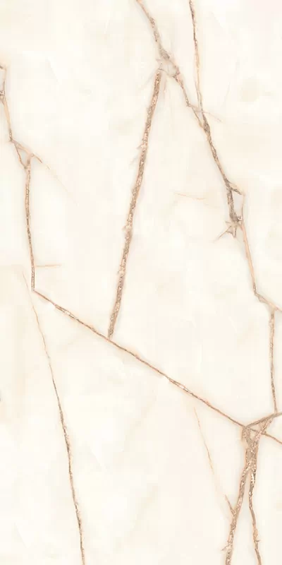 Керамогранит P 2116 Onyx Natural 60x120