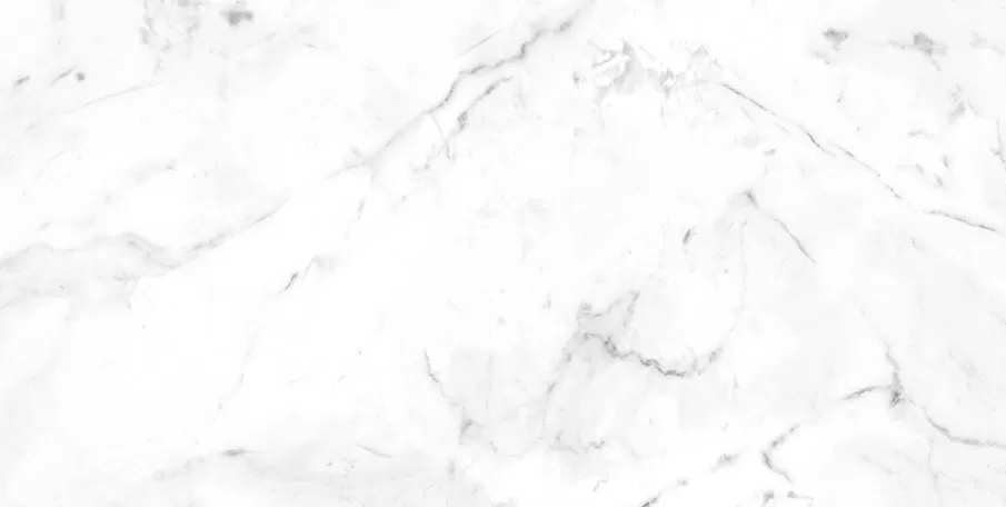 Клинкерная плитка 905541 Marble Carrara Blanco Liso 60x120