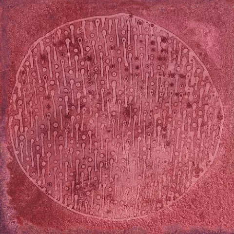 Плитка Carlo Granate-B 20x20