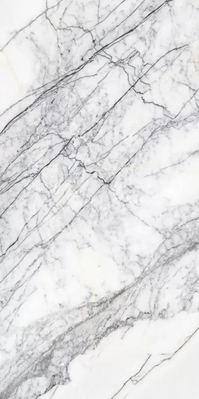 Керамогранит SPIDER WHITE GLOSSY 60x120