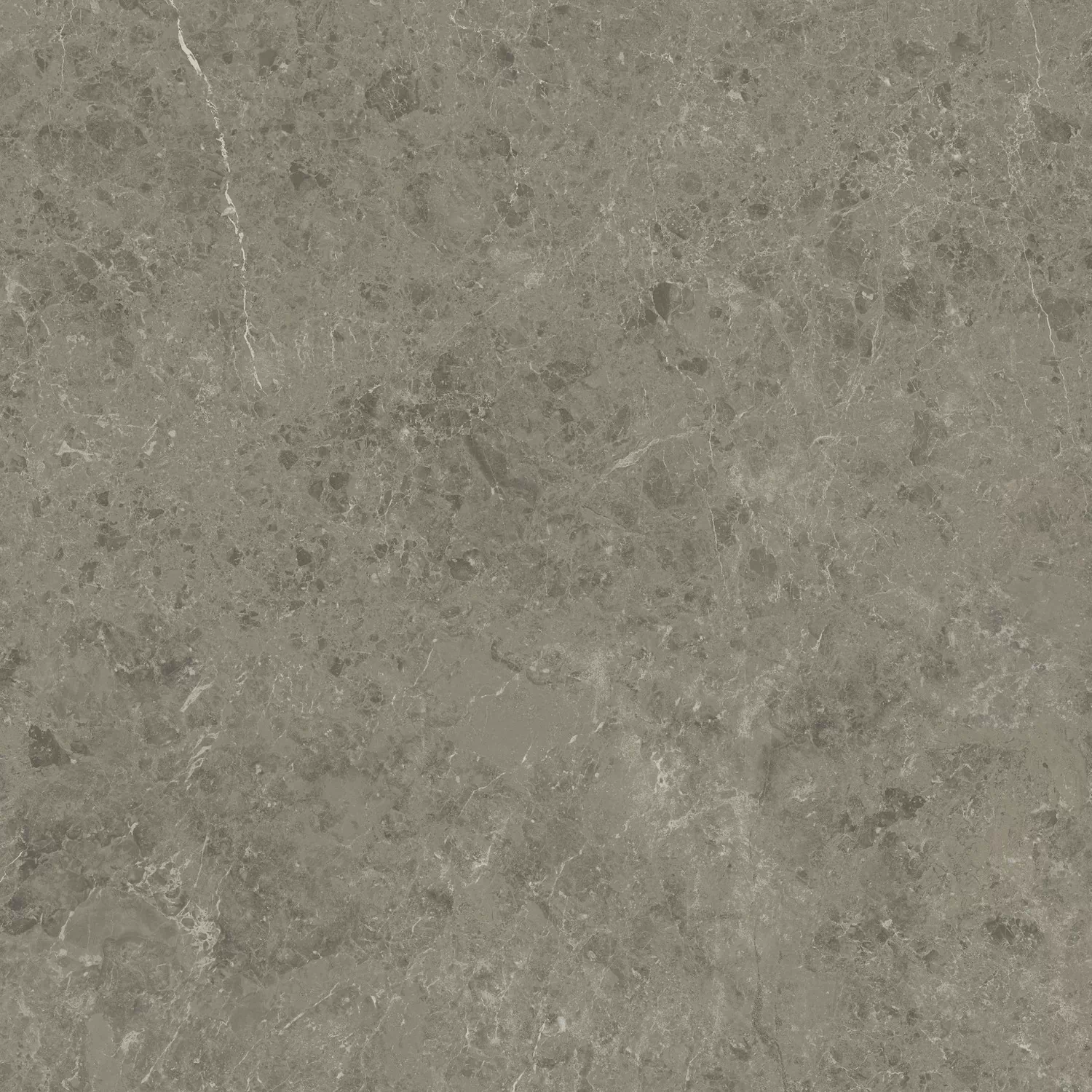 Керамогранит AJIL Marvel Meraviglia Grigio Elegante Velvet 120x120