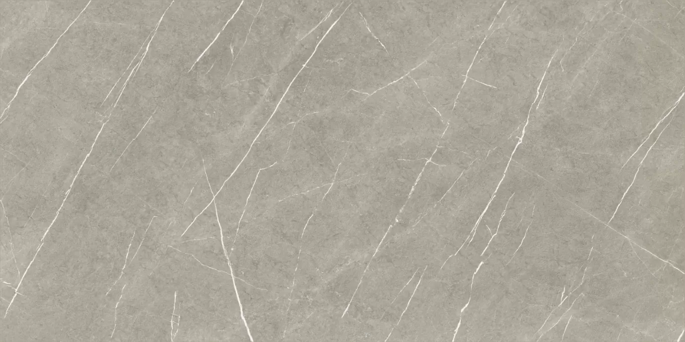 Керамогранит Eternal Taupe Natural 80x160
