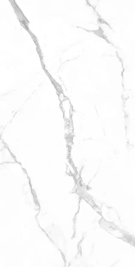 Керамогранит 903 STATUARE 80х160
