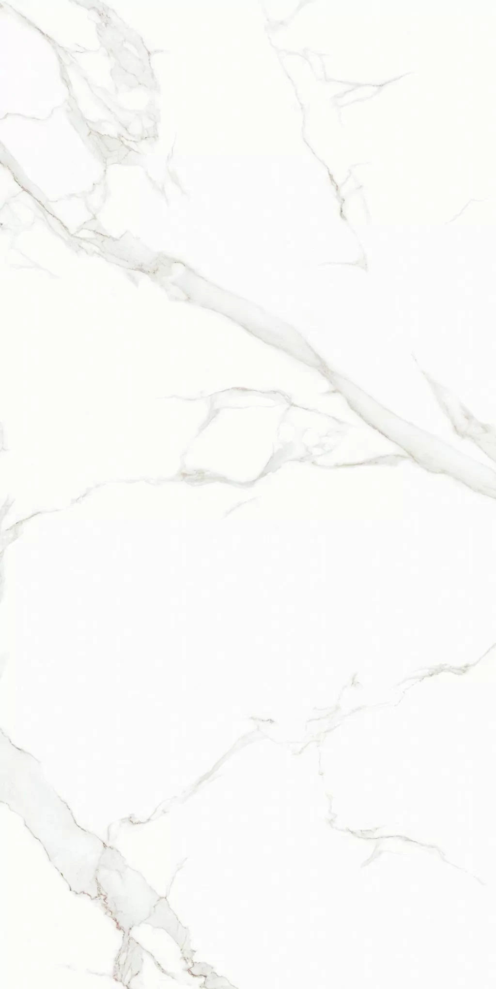 Плитка 0005 Amuletto White 25x50