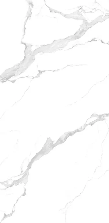 Керамогранит NTT3004P Bianco Carrara 120x240