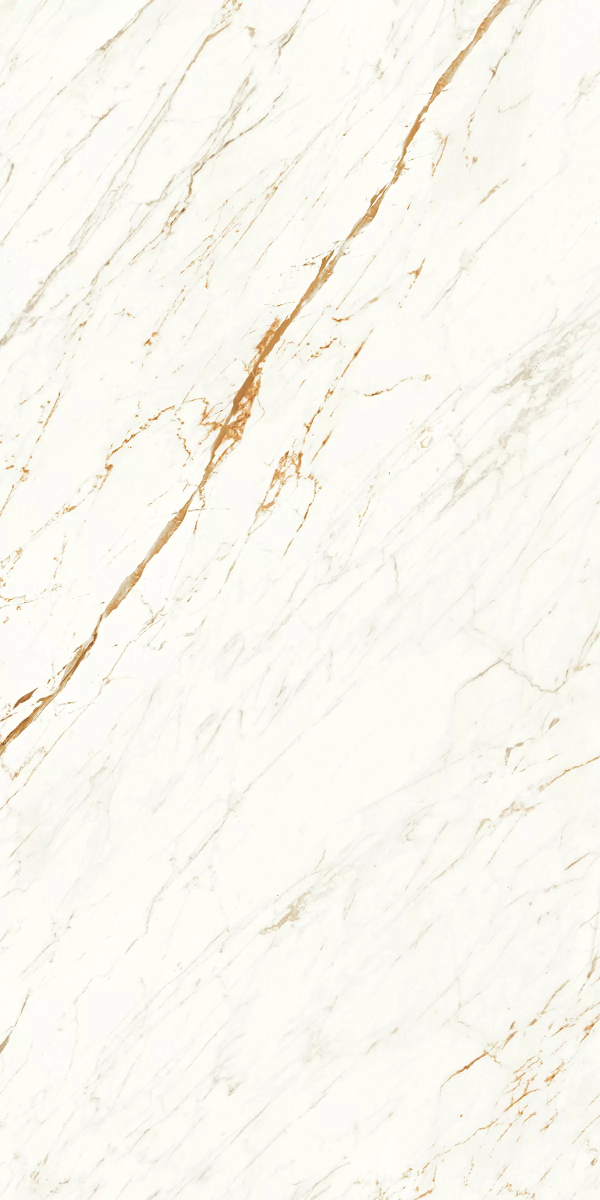 Керамогранит 903 Nero White 120x60