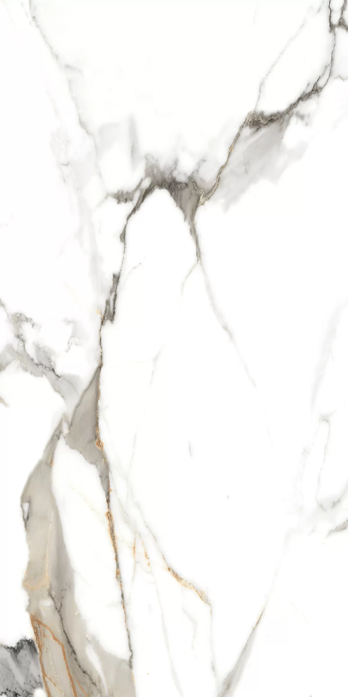 Керамогранит 890 Classic Carrara 120x60