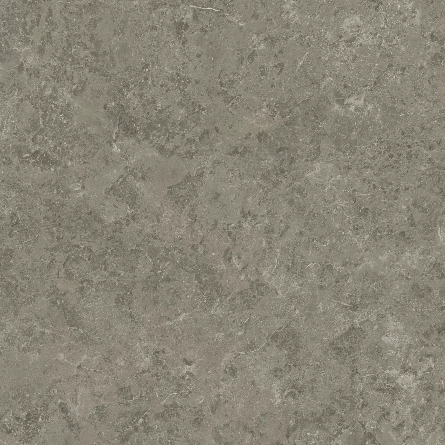 Керамогранит AJIL Marvel Meraviglia Grigio Elegante Velvet 120x120