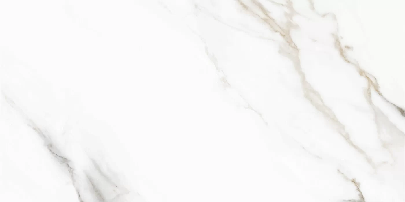 Керамогранит 176509 Pelatin Polished 60х120