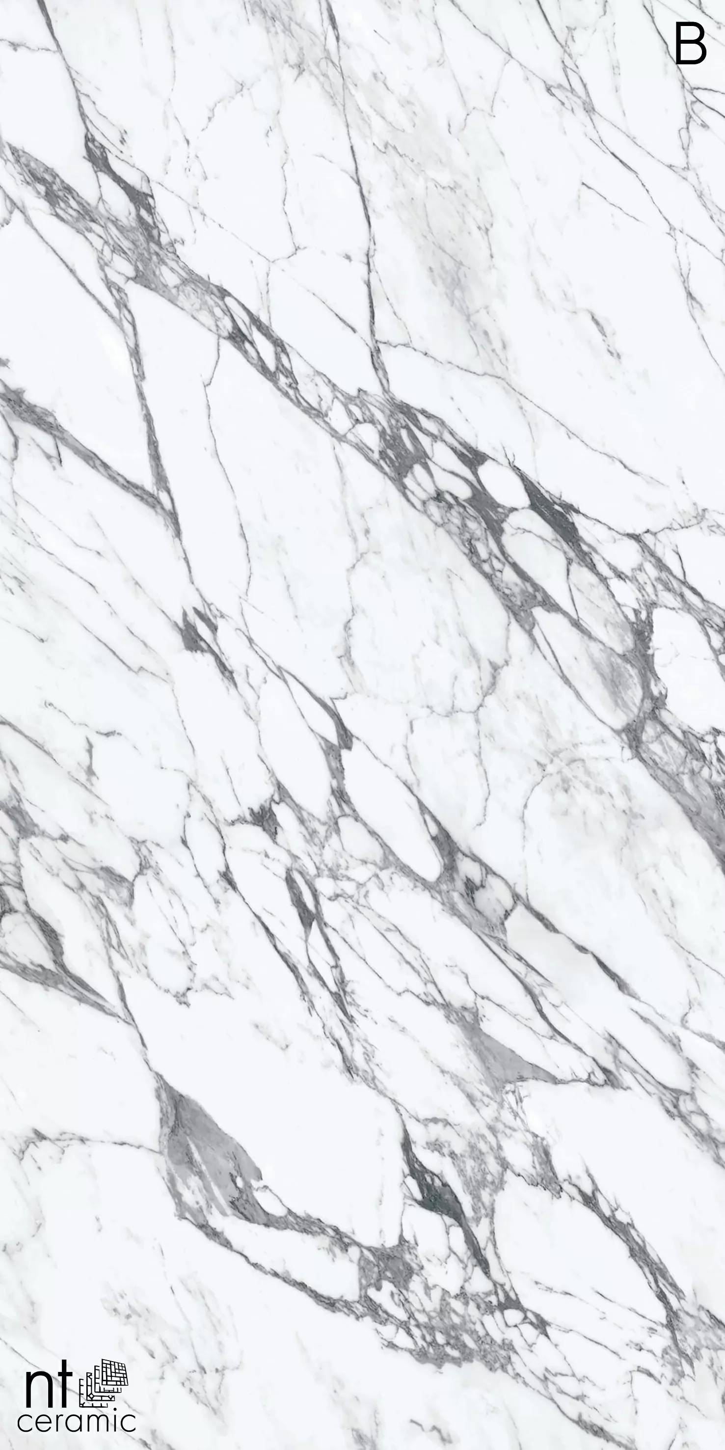Керамогранит NTT3507L Calaсatta Rock 120x270