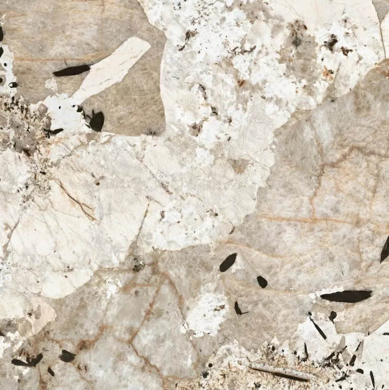 Керамогранит 774889 Nature Mood Tundra Glossy 6mm 120x120
