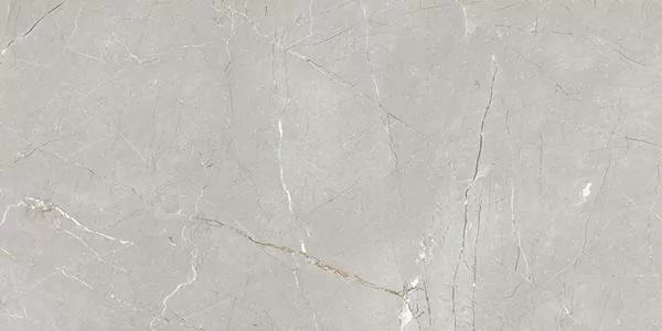 Керамогранит Larice Grey 60x120