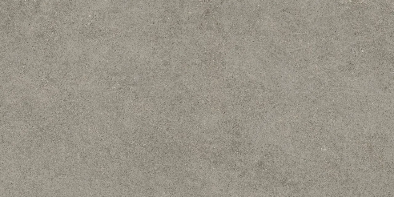 Керамогранит 610010005813 Forte dei Marmi Rock Lunar Grey Matt Rett 80x160