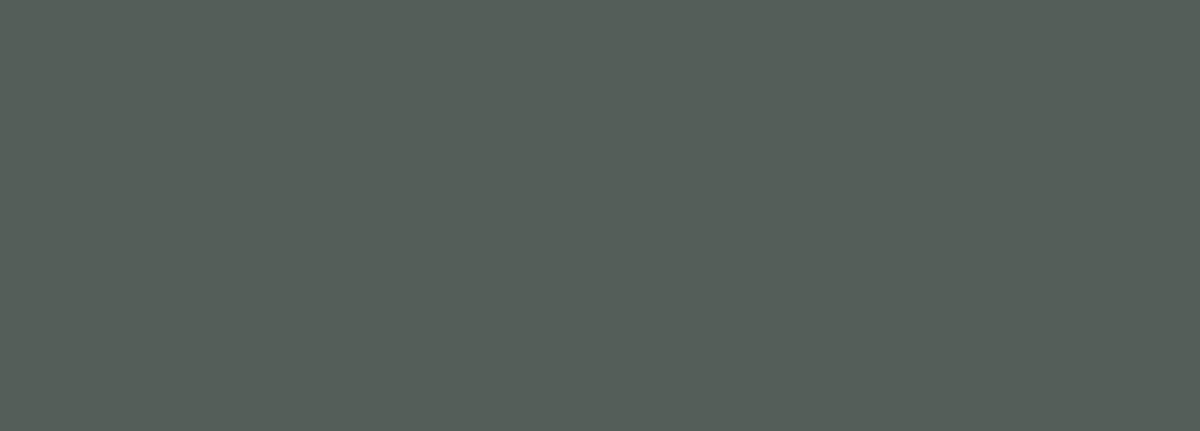Плитка Foresta Verde 24.2x70