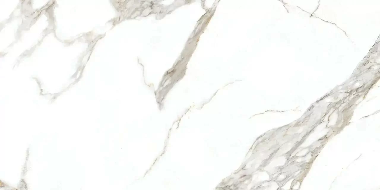 Керамогранит F2A A0ZS 000C Carrera White Matt Rect 60x120