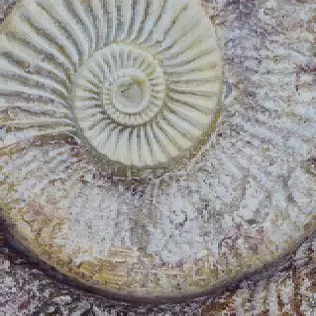 Керамогранит FM3333 Fossil Mix 33х33